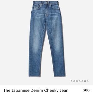 Everlane Japanese Cheeky Jean